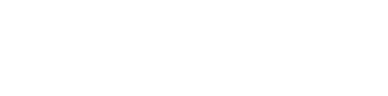 LingoYou Academy Orizzontale Bianco 1